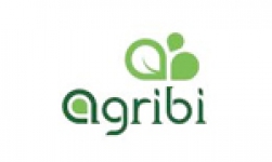 Tortor dis enim pellentesque